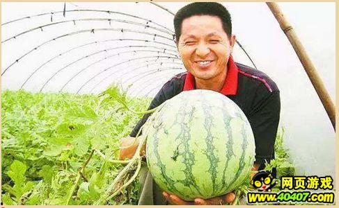 吃瓜墙怎么弄,轻松掌握热门话题追踪技巧