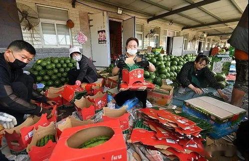 庞各庄吃瓜群众,吃瓜群众乐翻天