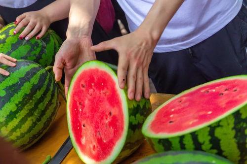 普洱学院吃瓜视频,揭秘校园生活趣味瞬间