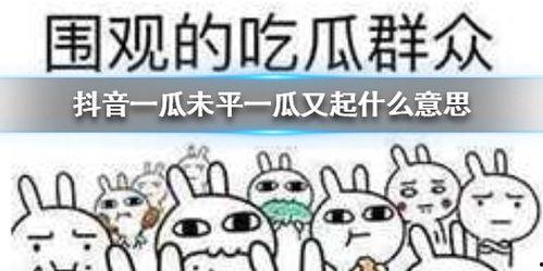 吃大瓜抖音,揭秘网络热点的背后故事