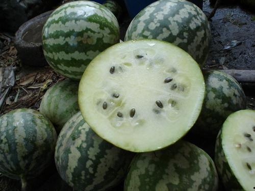 绿宝瓜能冷藏多久吃,掌握最佳食用时间