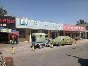 集宁区吃瓜,瓜果飘香，品味生活新篇章