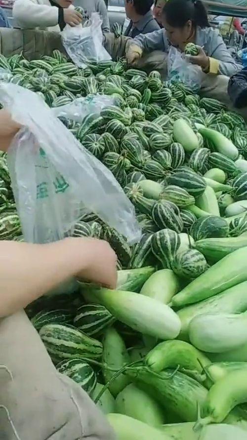 曹县吃瓜什么梗,揭秘网络热梗背后的故事与影响