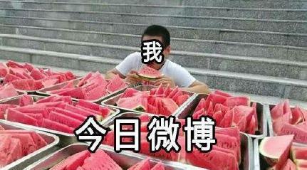 吃瓜 结婚,一场别开生面的结婚盛典