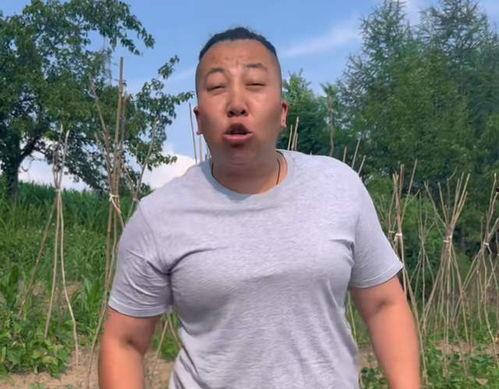 东北雨姐事件吃瓜,揭秘网络舆论风暴背后的真相