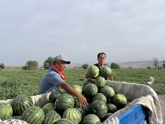 贵州高三吃瓜,校园生活新风尚