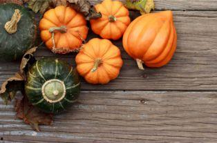 南瓜和茄瓜一起吃行吗,营养互补的健康选择