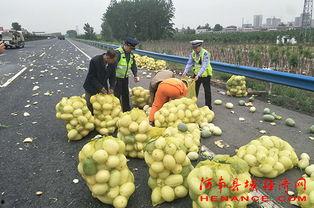 琉璃庄吃瓜群众,吃瓜群众热议，揭秘宫廷秘闻背后的八卦风云