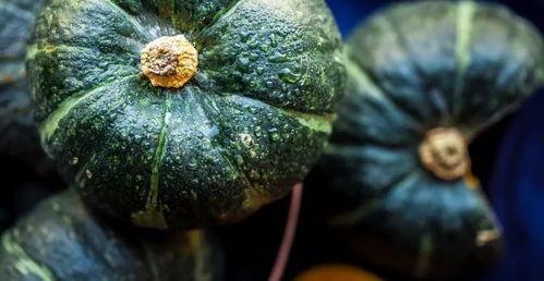 吃胖了吃吃瓜,揭秘美食与娱乐的奇妙融合